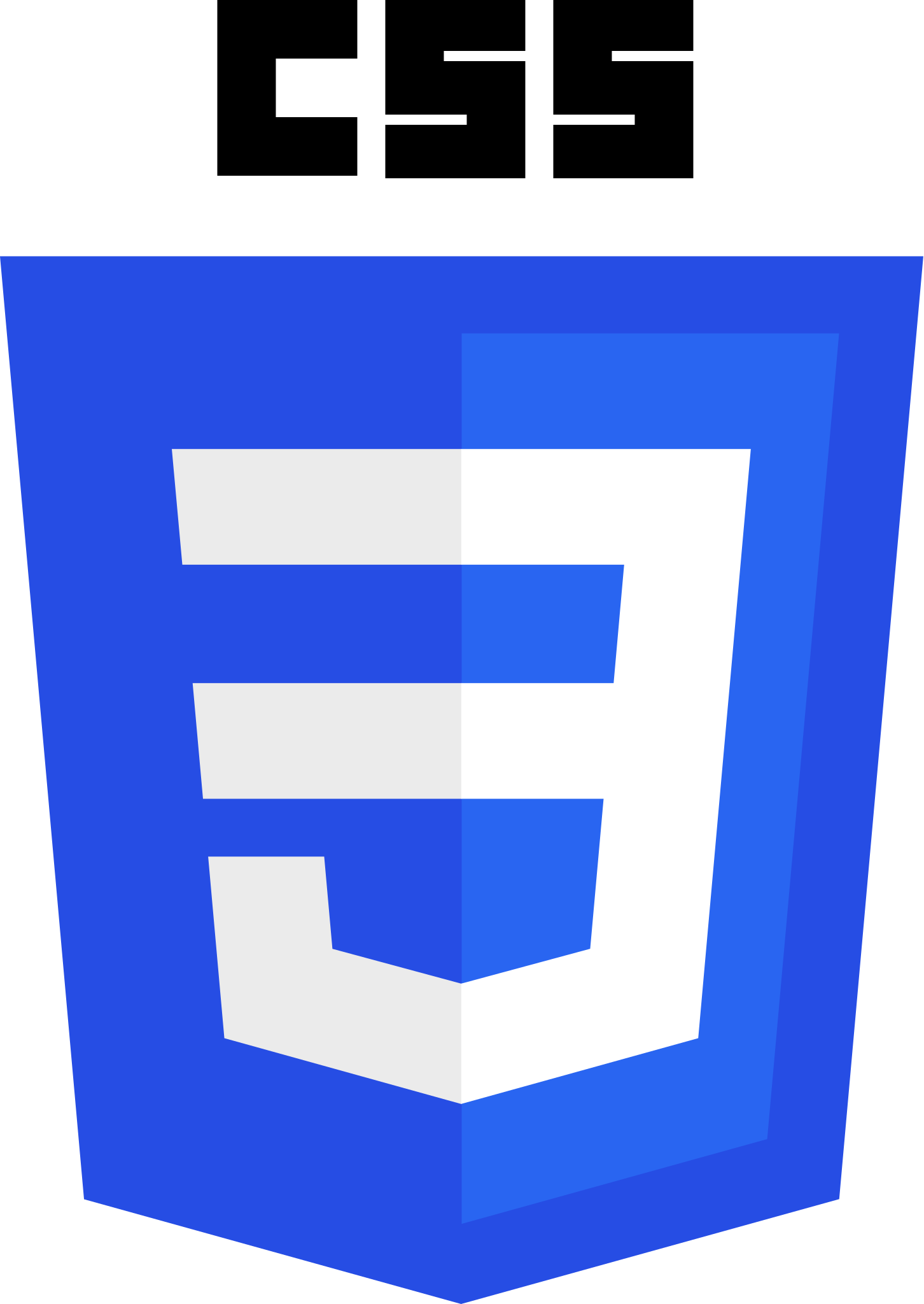 HTML Icon